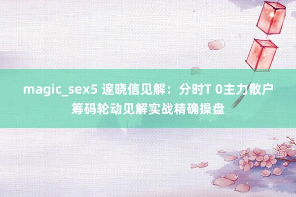 magic_sex5 邃晓信见解：分时T 0主力散户筹码轮动见解实战精确操盘