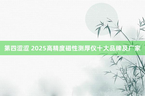 第四涩涩 2025高精度磁性测厚仪十大品牌及厂家