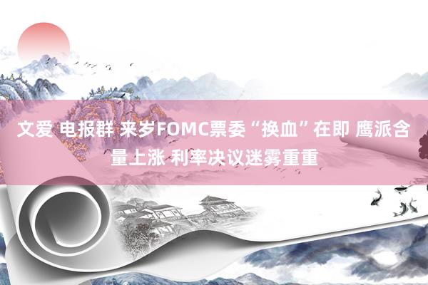 文爱 电报群 来岁FOMC票委“换血”在即 鹰派含量上涨 利率决议迷雾重重