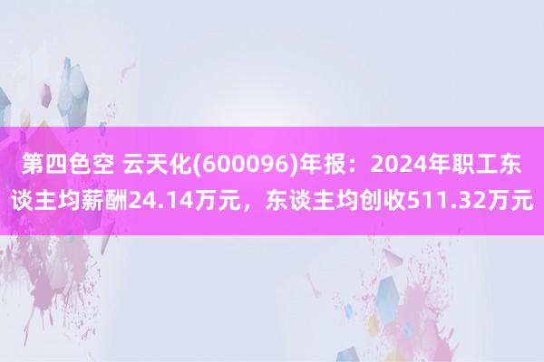 第四色空 云天化(600096)年报：2024年职工东谈主均薪酬24.14万元，东谈主均创收511.32万元
