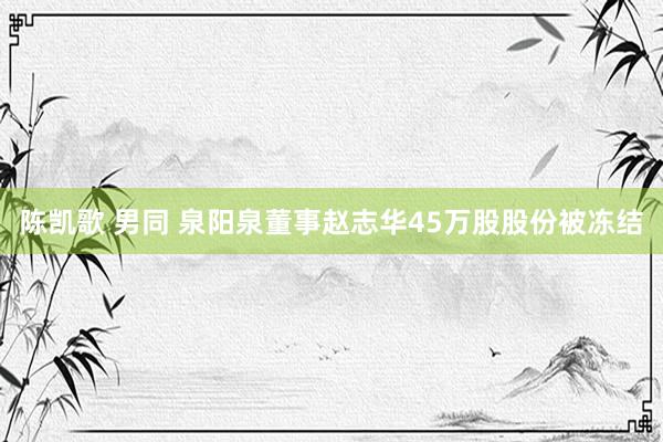 陈凯歌 男同 泉阳泉董事赵志华45万股股份被冻结