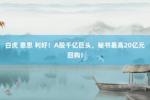 白虎 意思 利好！A股千亿巨头，秘书最高20亿元回购！